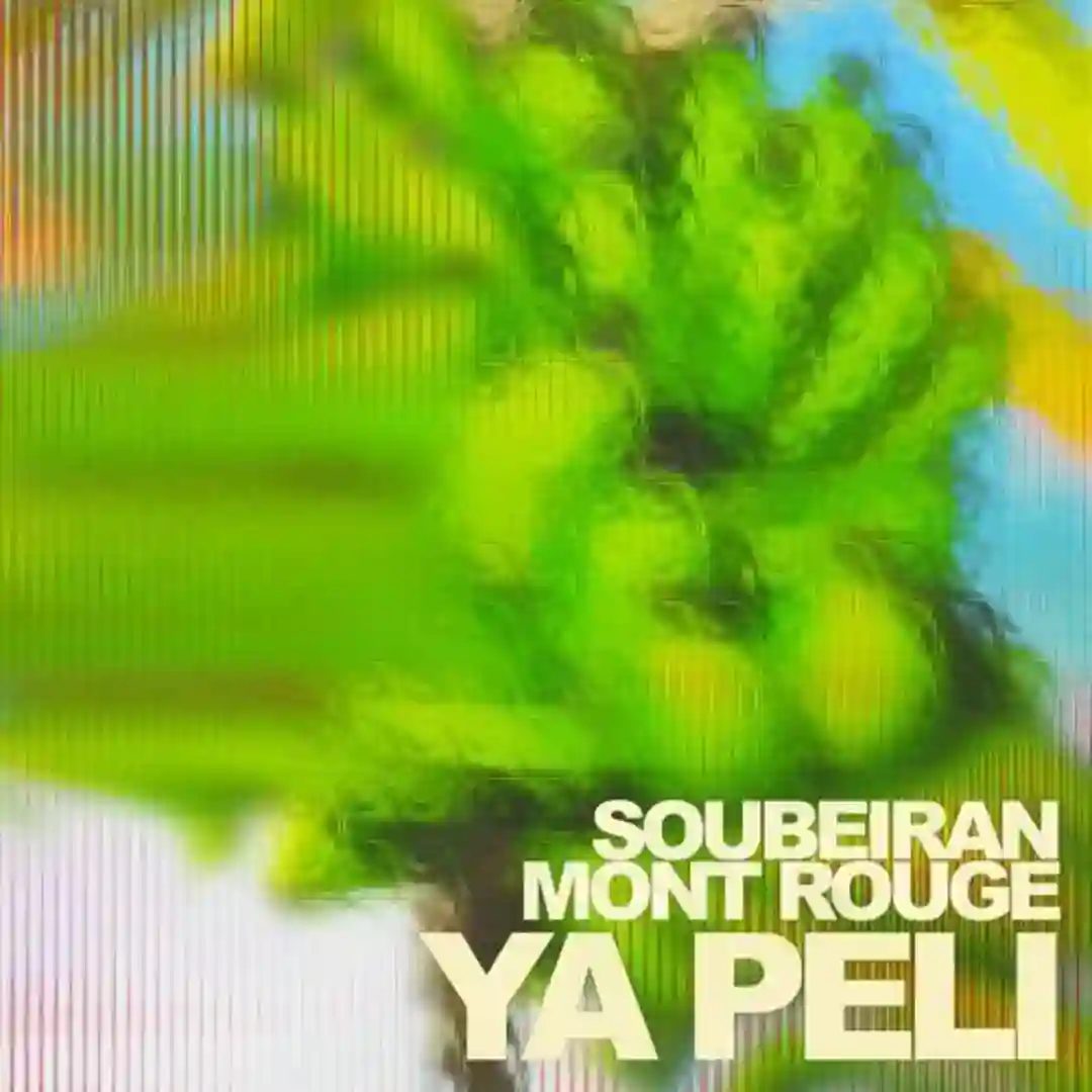 Ya Peli (Extended Mix) cover