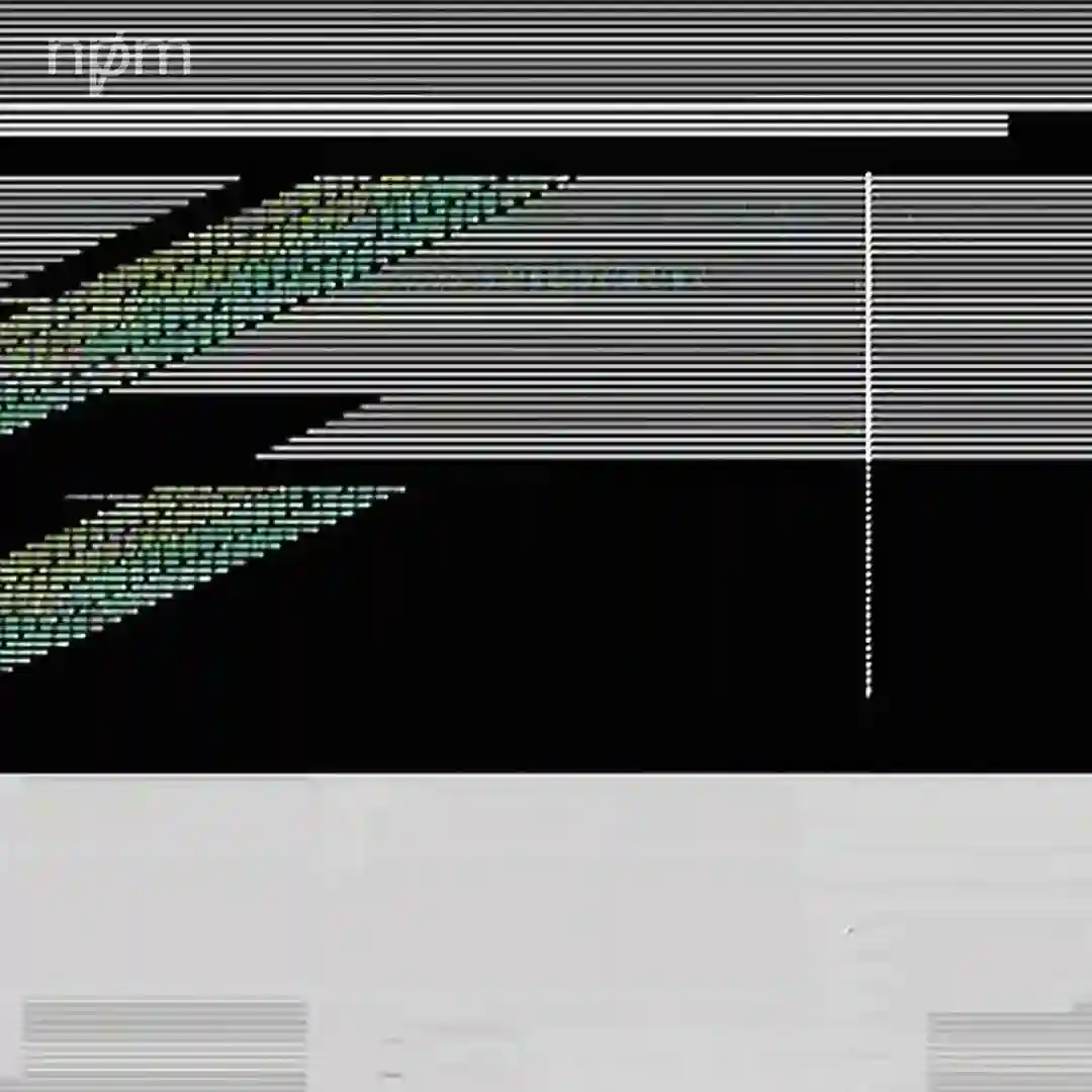 Reverse Run cover
