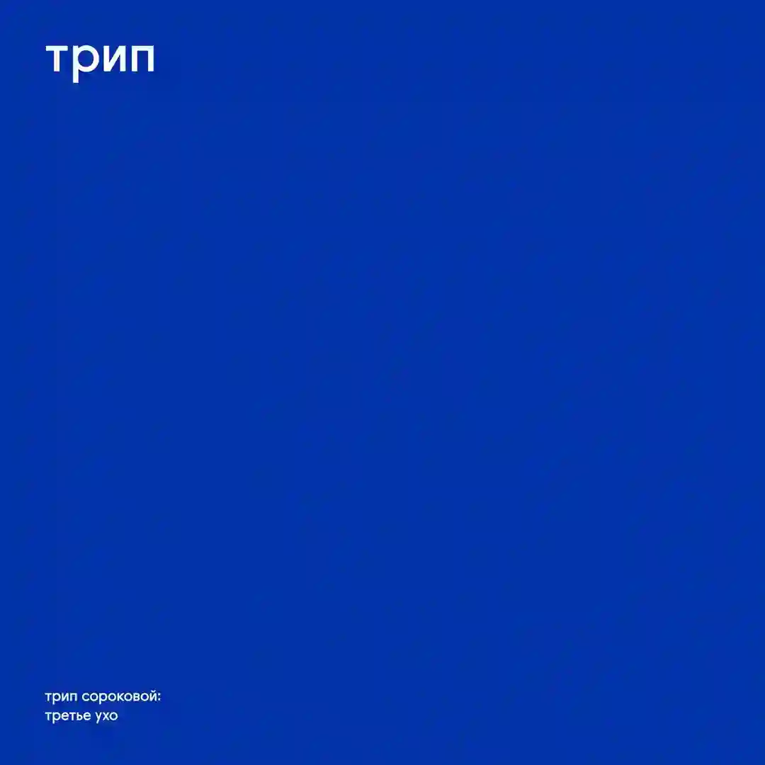 bad trip à la drogue chic cover