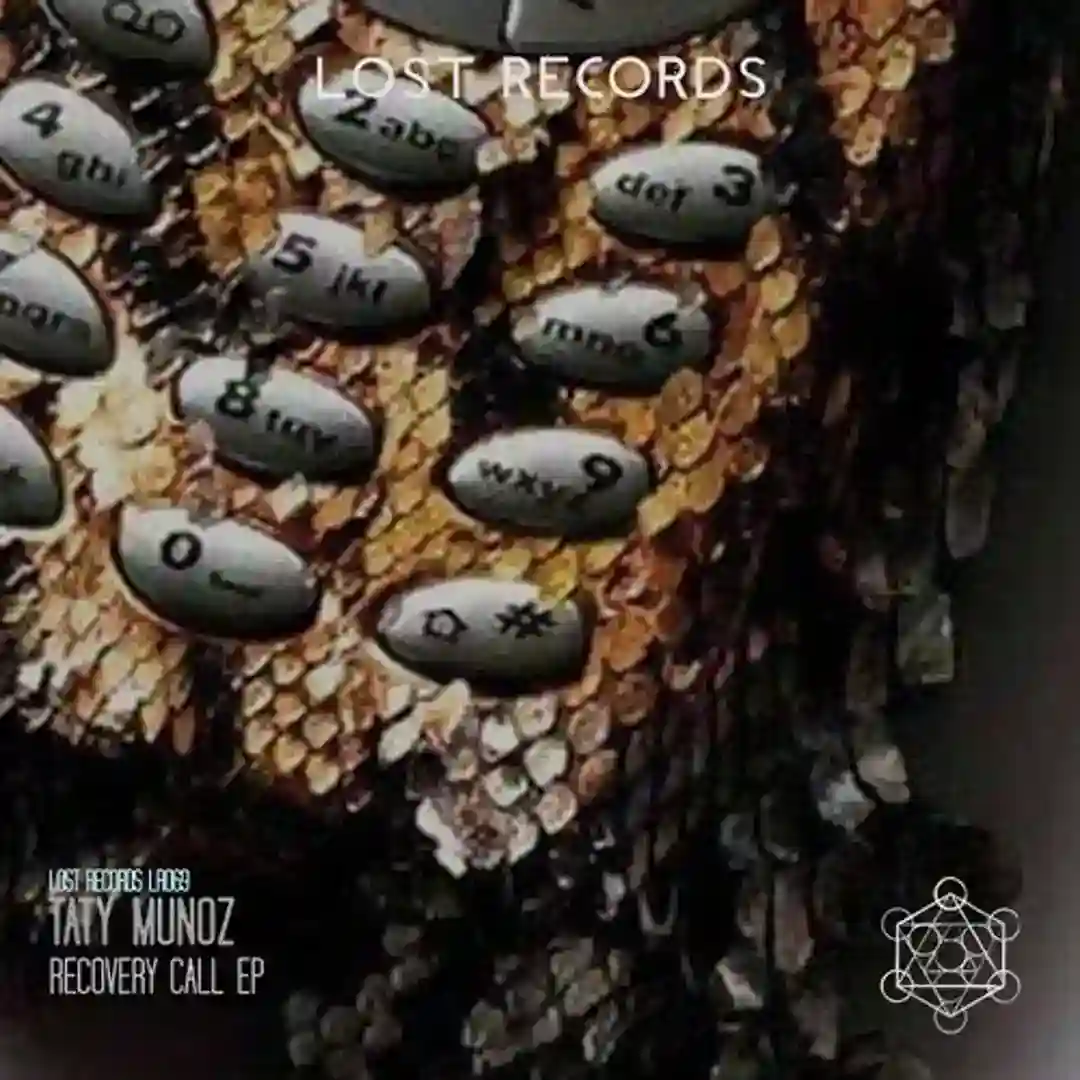 Recovery Call (Original Mix) cover