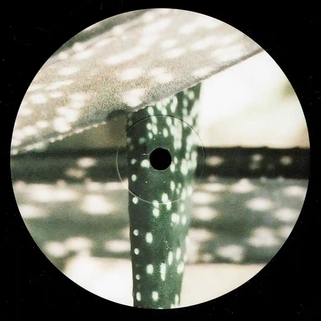 Delaphine 007 cover