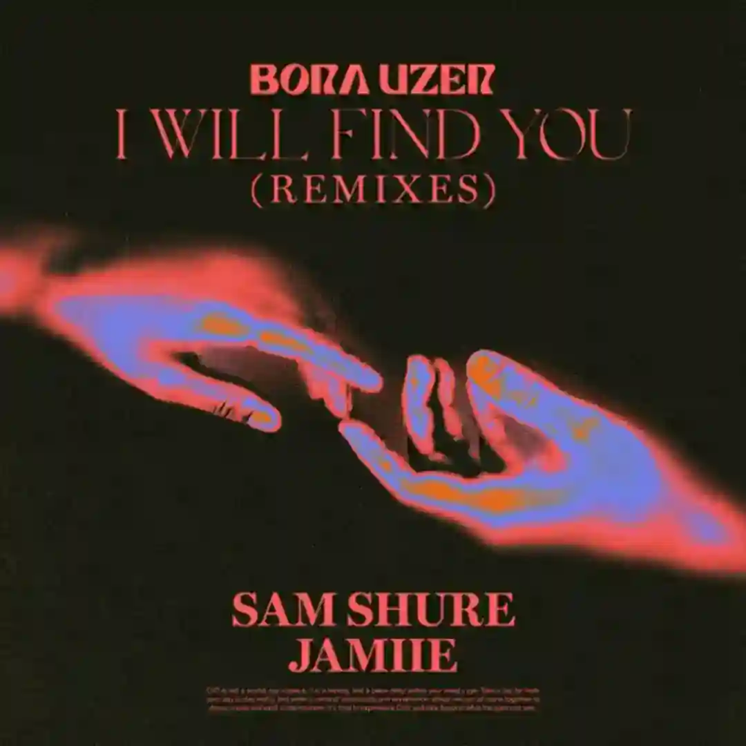 I Will Find You (Sam Shure Remix) cover