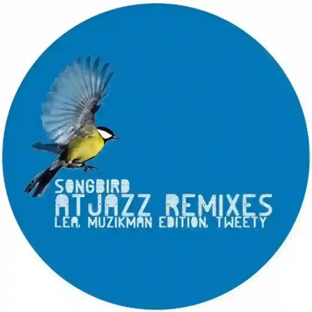 Songbird (Atjazz Love Soul Remix Instrumental) cover