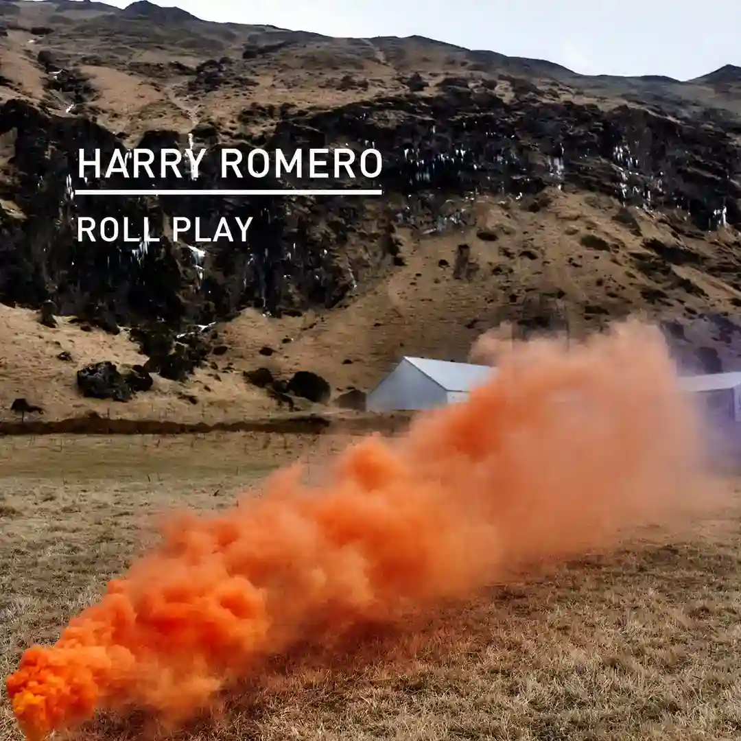 Roll Play (Original Mix) cover