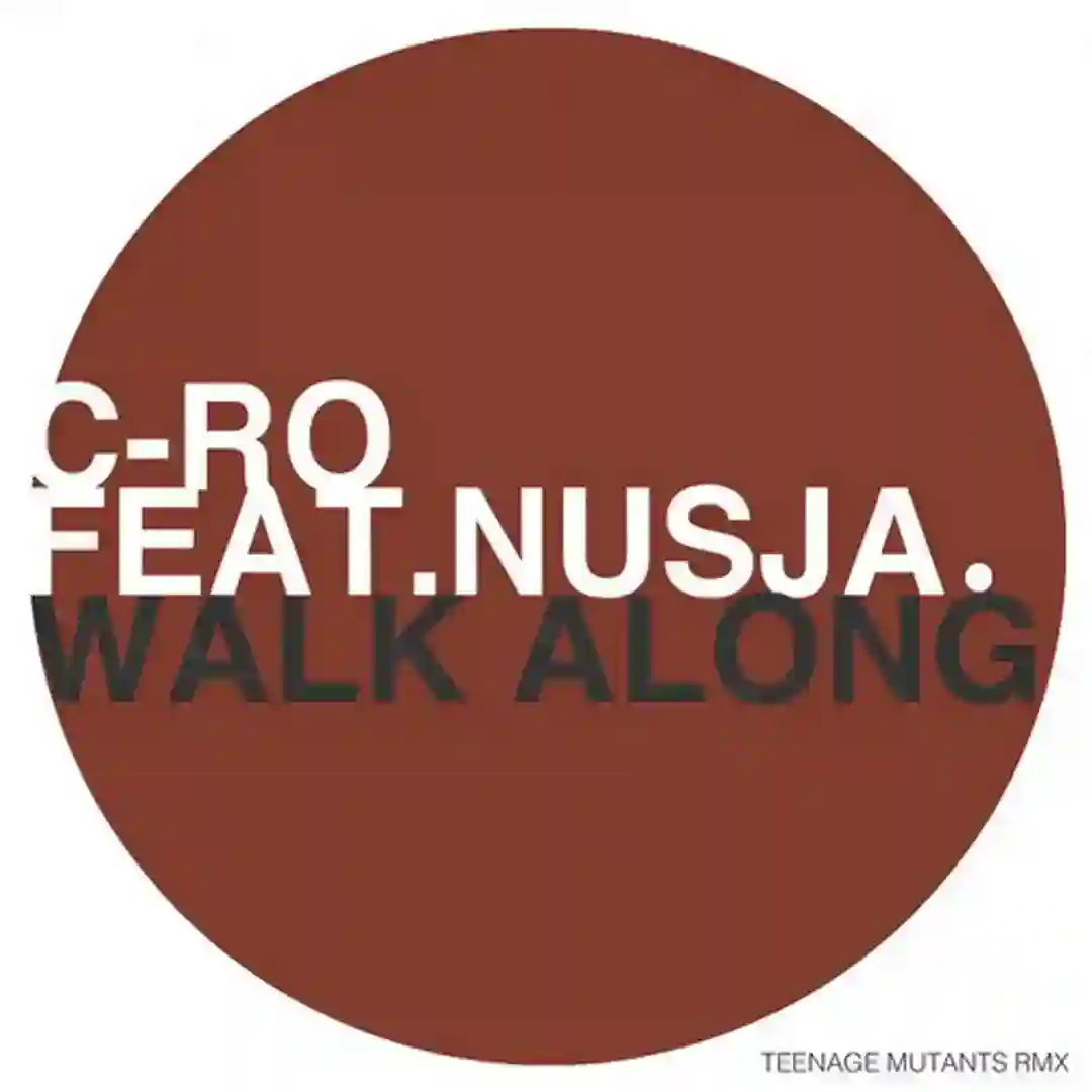 Walk Along (Teenage Mutants Remix) cover
