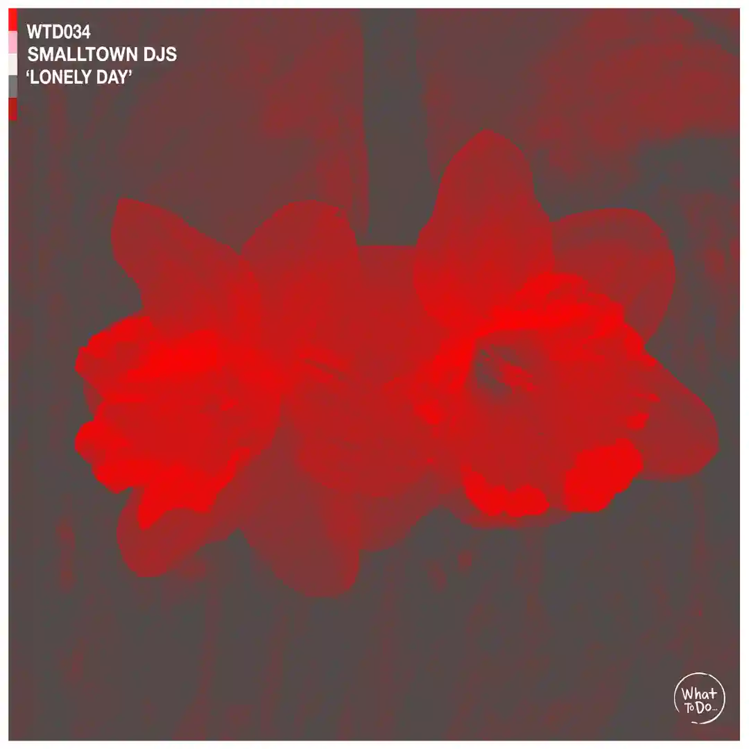 Lonely Day cover