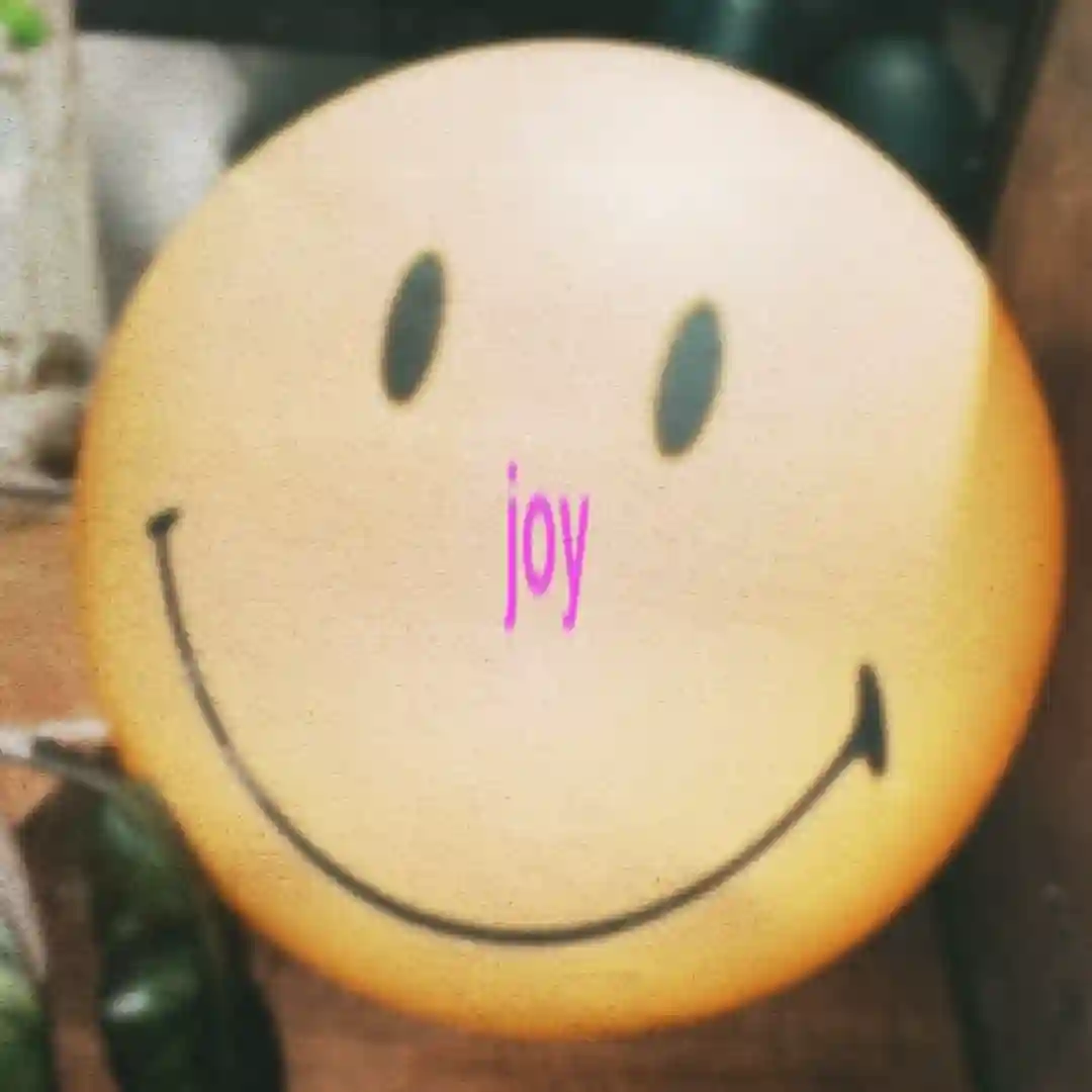 Joy cover