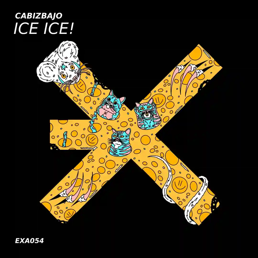 Ice Ice! cover