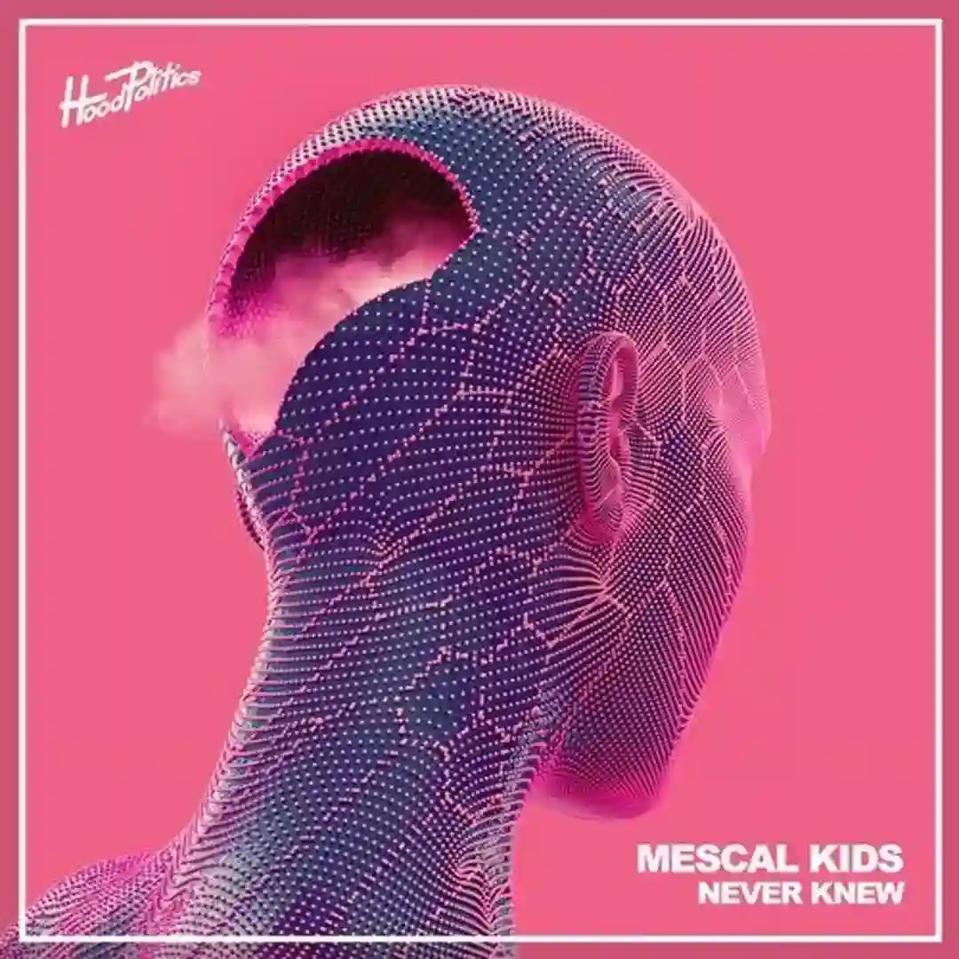 Never Knew cover