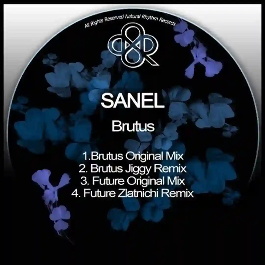 Future (Zlatnichi Jaro Remix) cover