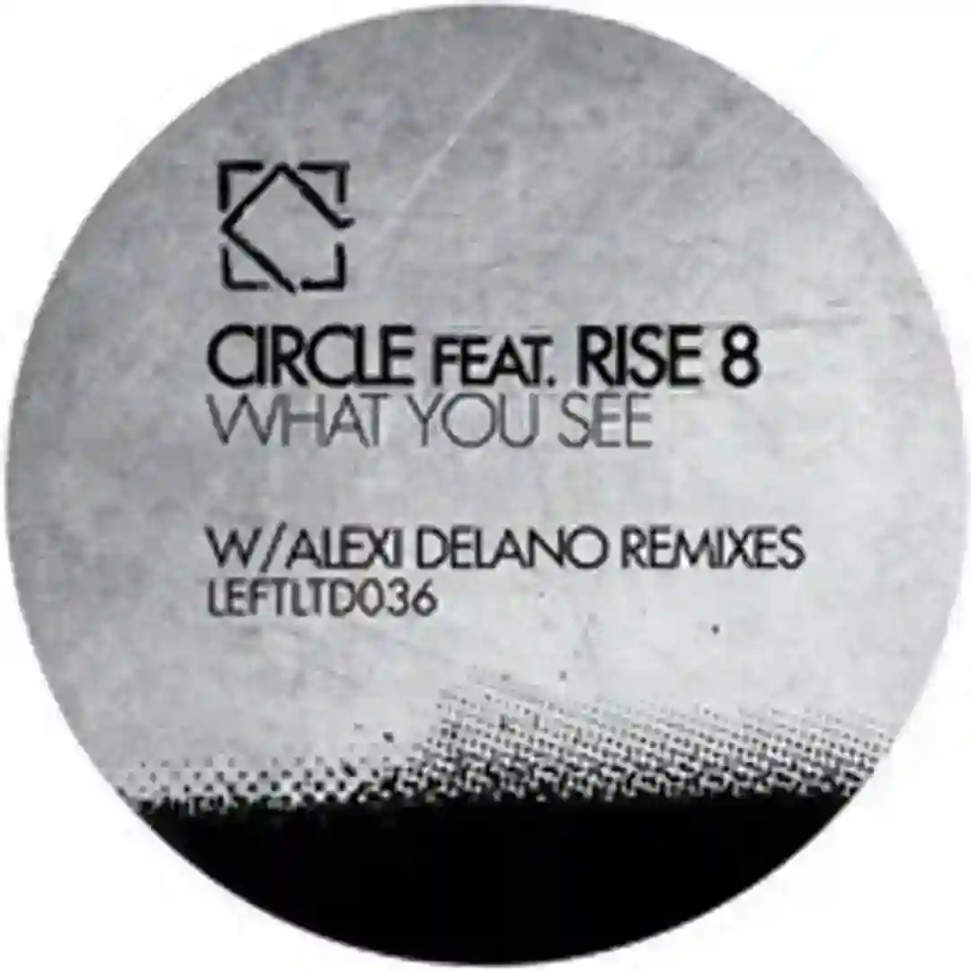 What You See (Alexi Delano Remix) cover