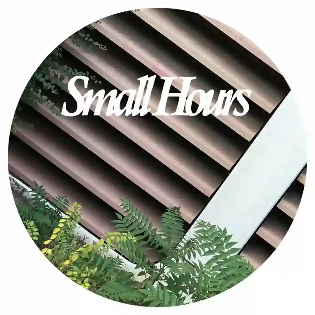 Small Hours 005 cover