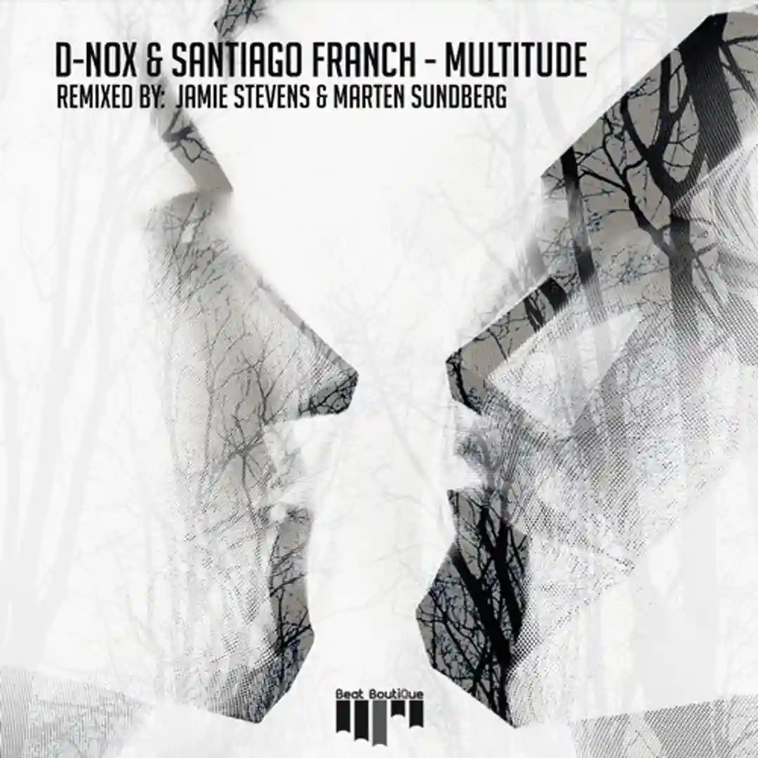 Multitude cover