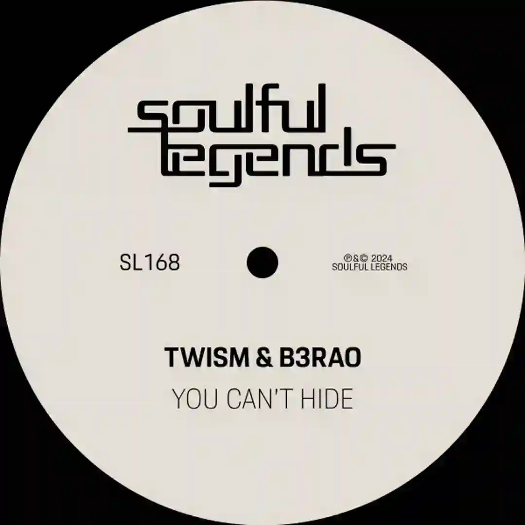 You Can't Hide (Original Mix) cover