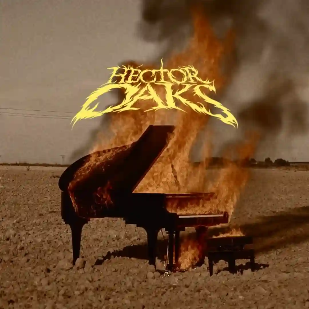 FORWARD FOREVER, BACKWARDS NEVER (Original Mix) cover
