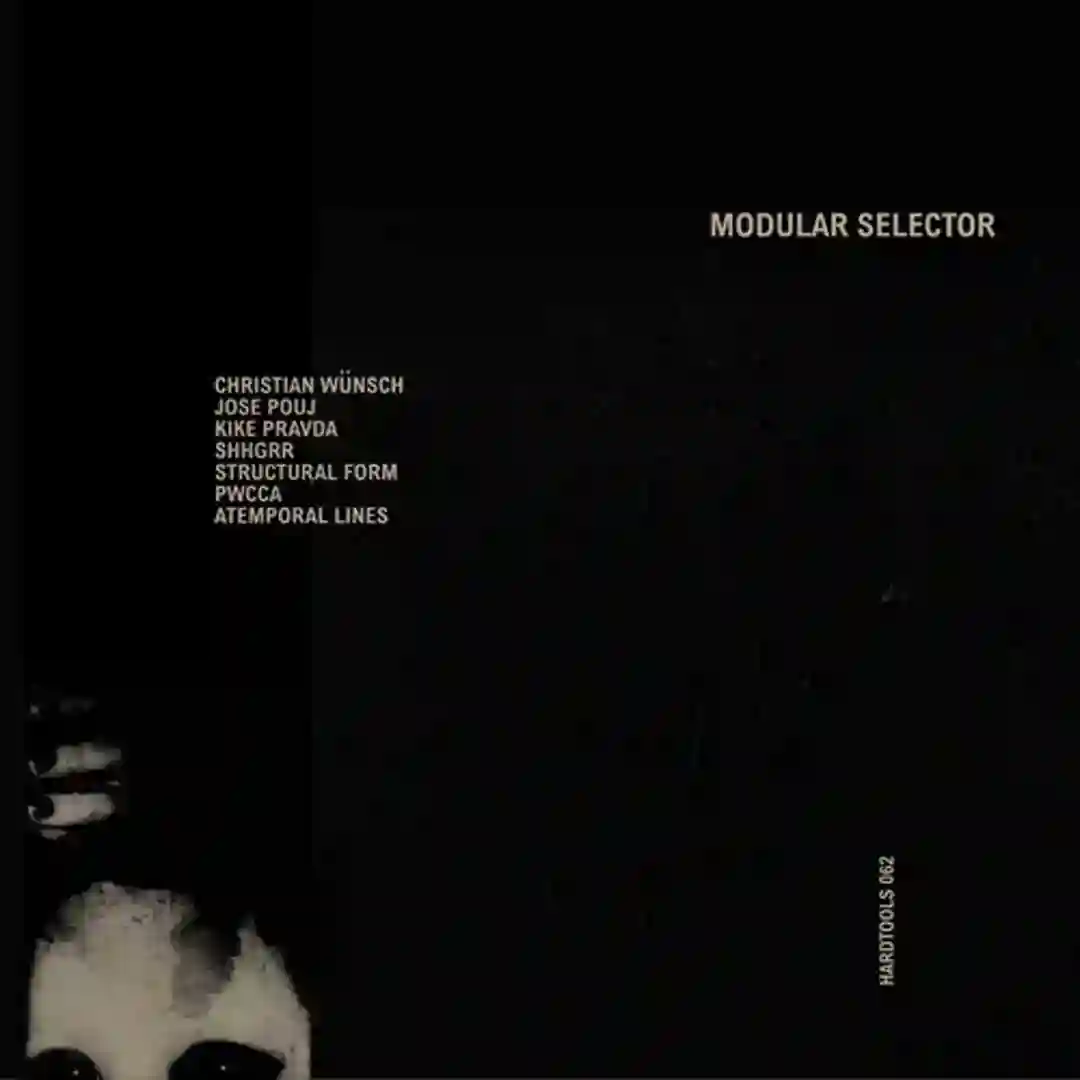 Modular Selector (Structural Form Remix) cover