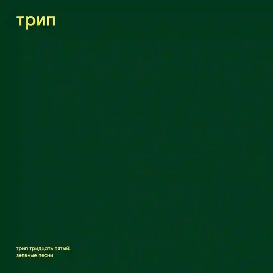 berdea cover