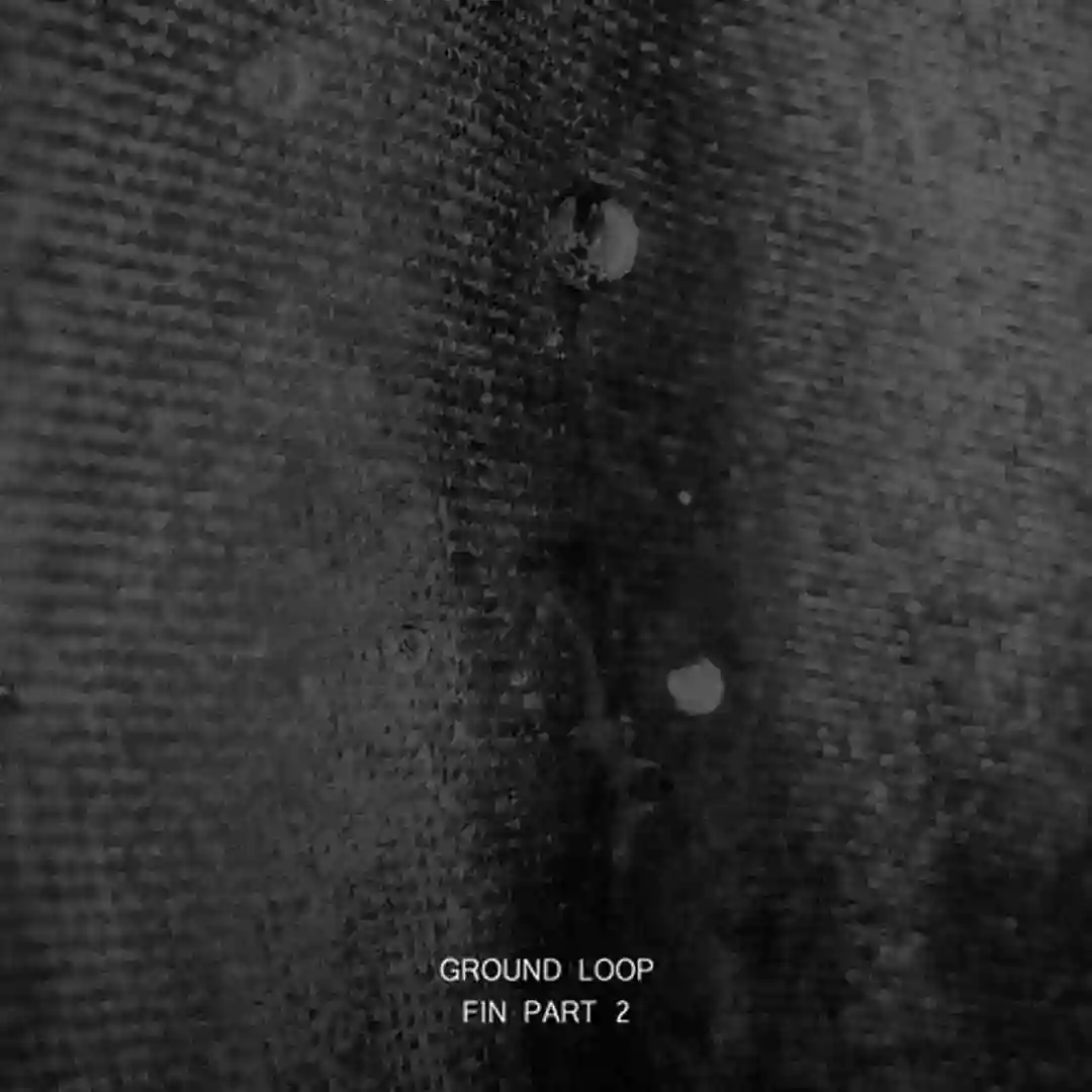FIN, Pt. 2 cover