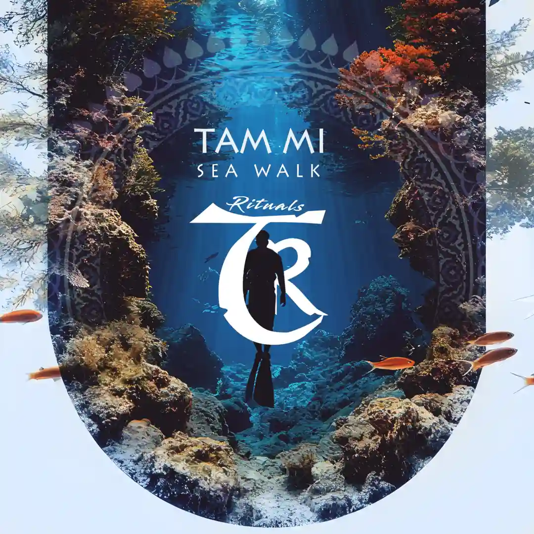 Sea Walk (Original Mix) cover