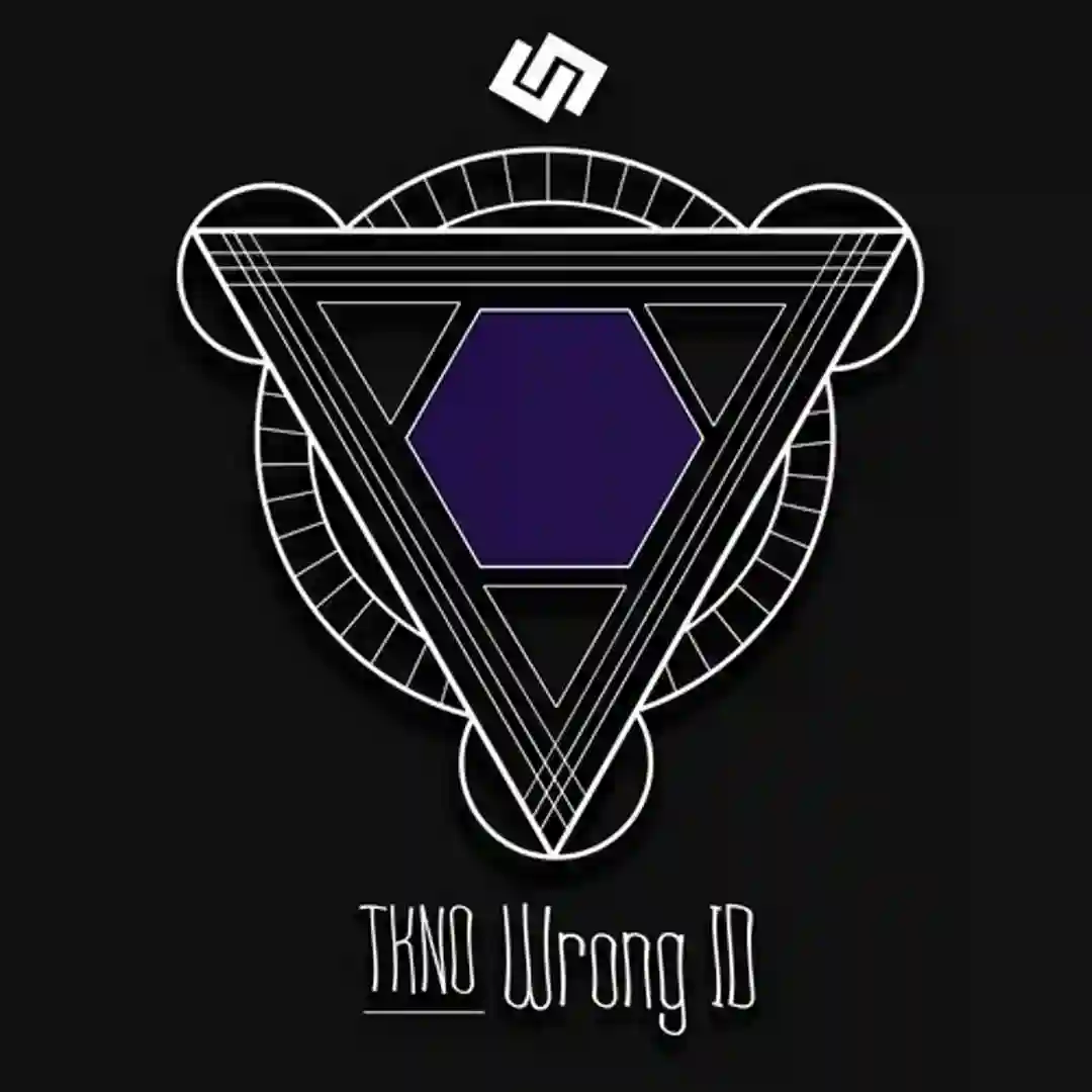 Wrong ID (Vegim Remix) cover