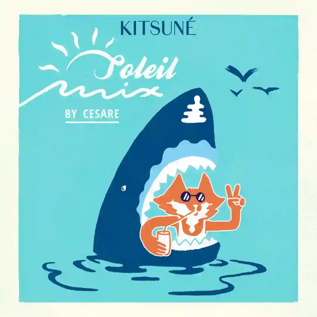 Please Delete (Soleil Mix Edit) cover