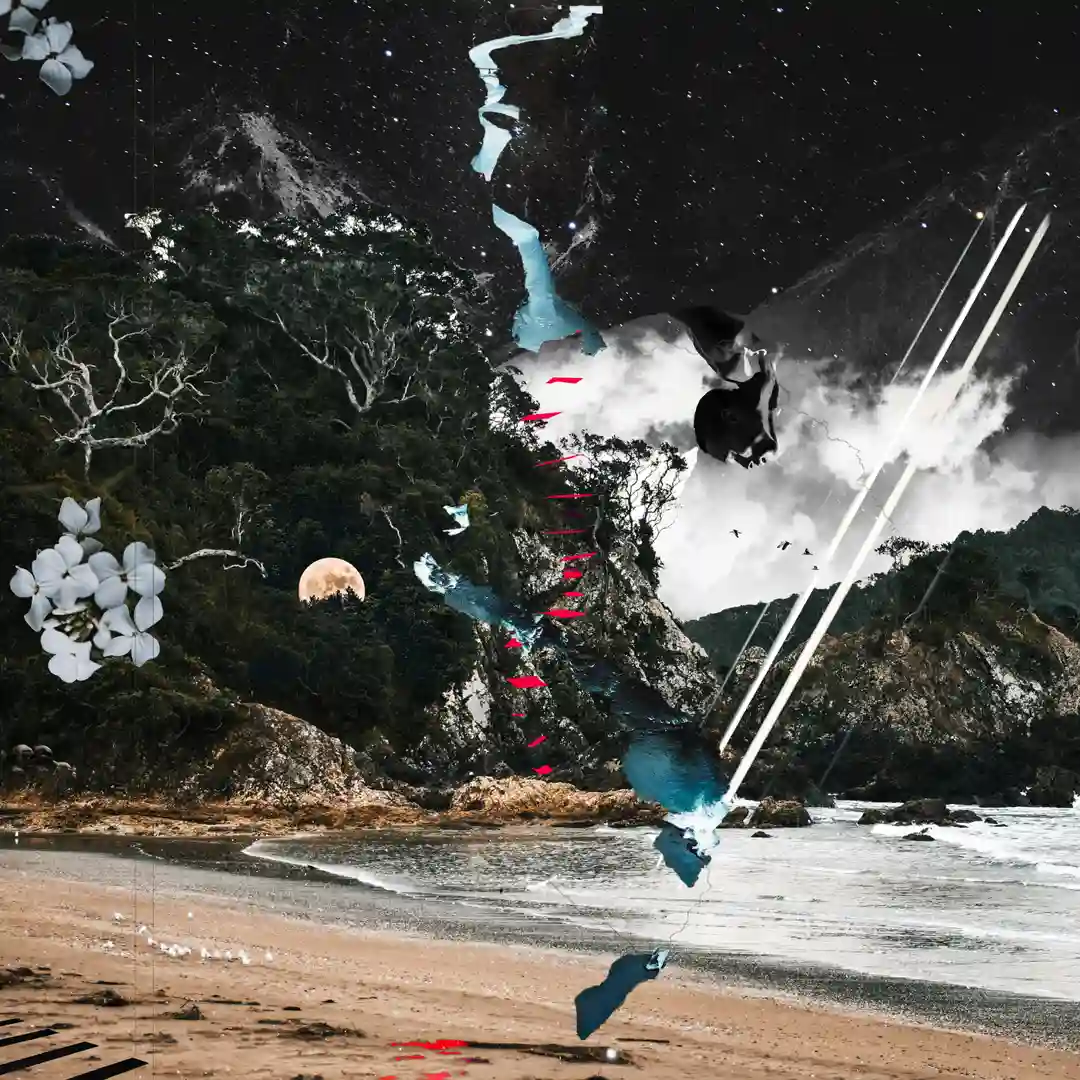 Seismologe (Original Mix) cover