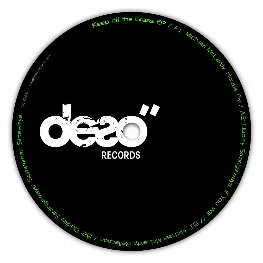 House Fly (Original Mix) cover