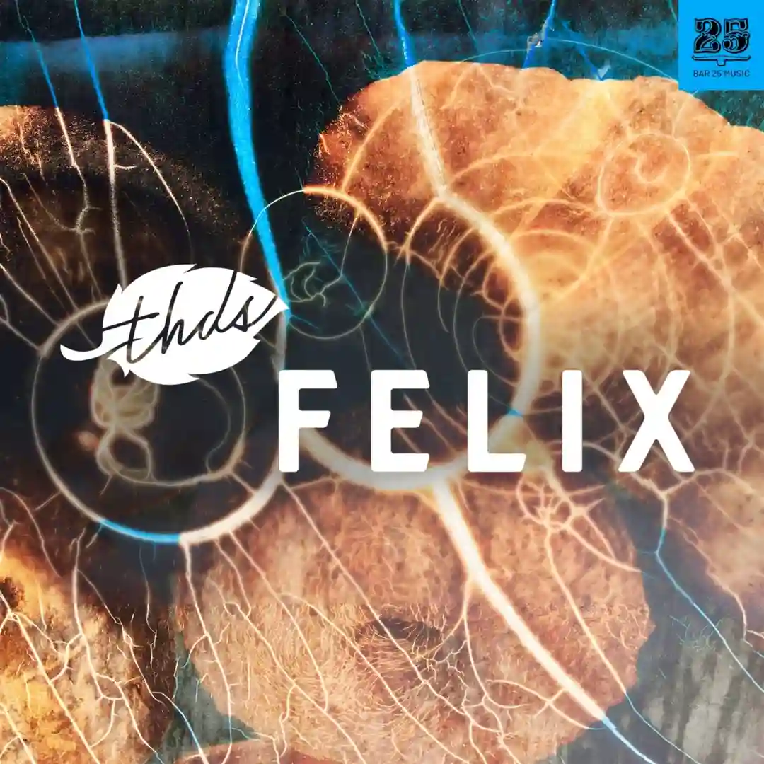 Fugo (Extended Mix) cover