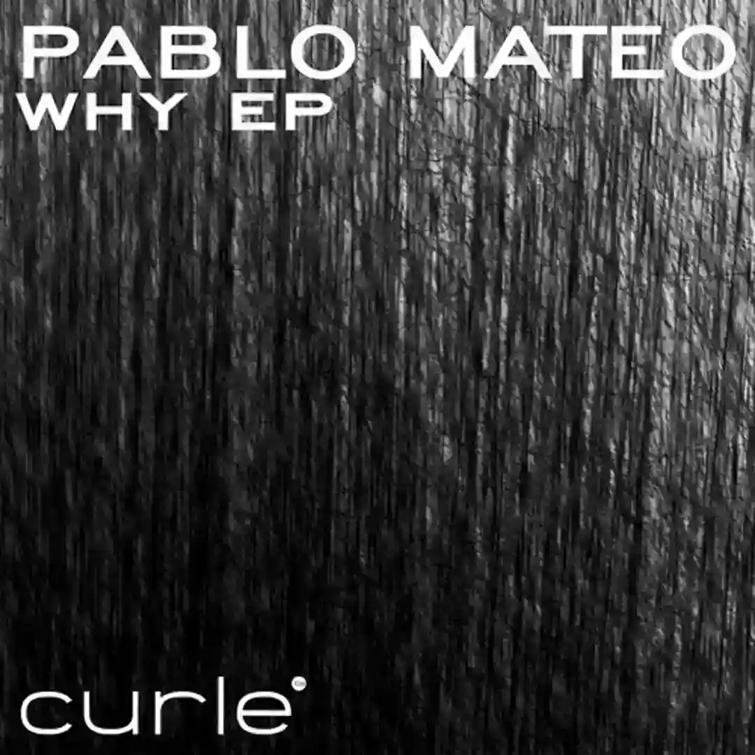 Why (Original Mix) cover