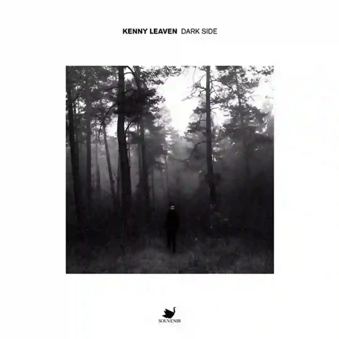 Dark Side (Original Mix) cover