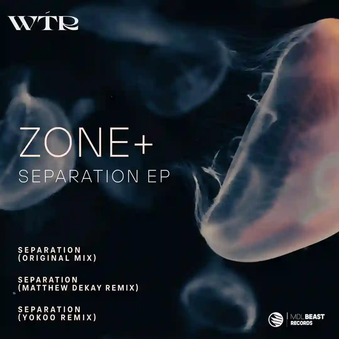 Separation (YokoO Remix) cover