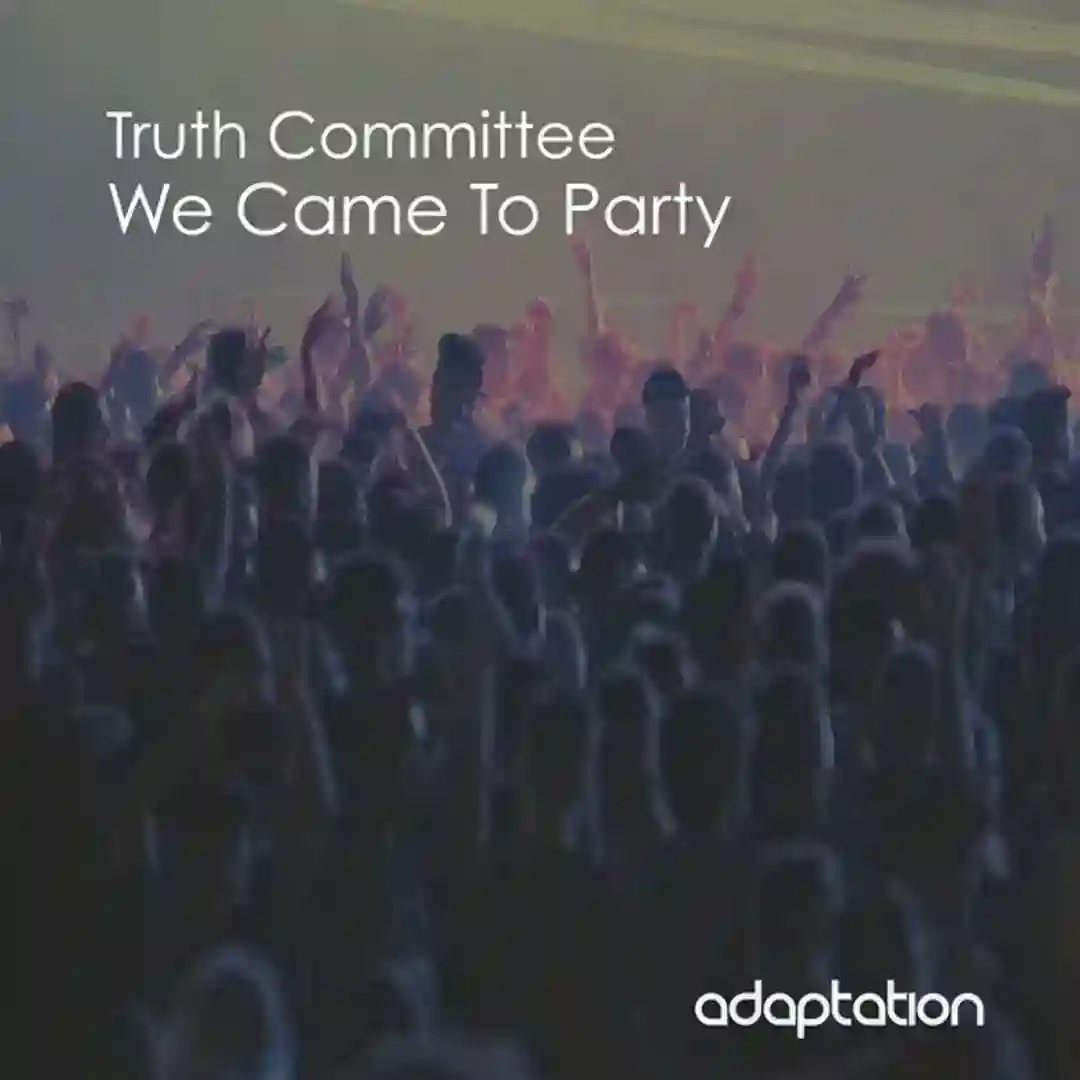 We Came To Party (Original Mix) cover
