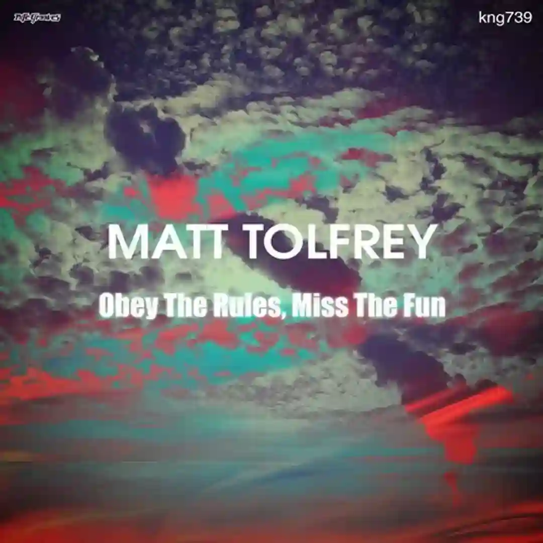 Obey The Rules, Miss The Fun (Original Mix) cover
