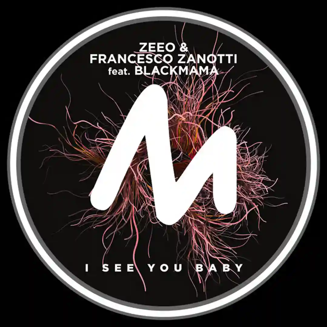 I See You Baby Feat. BlackMama (Extended Mix) cover
