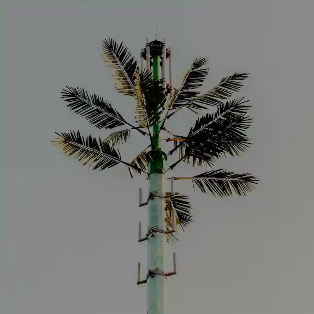 HIGH cover