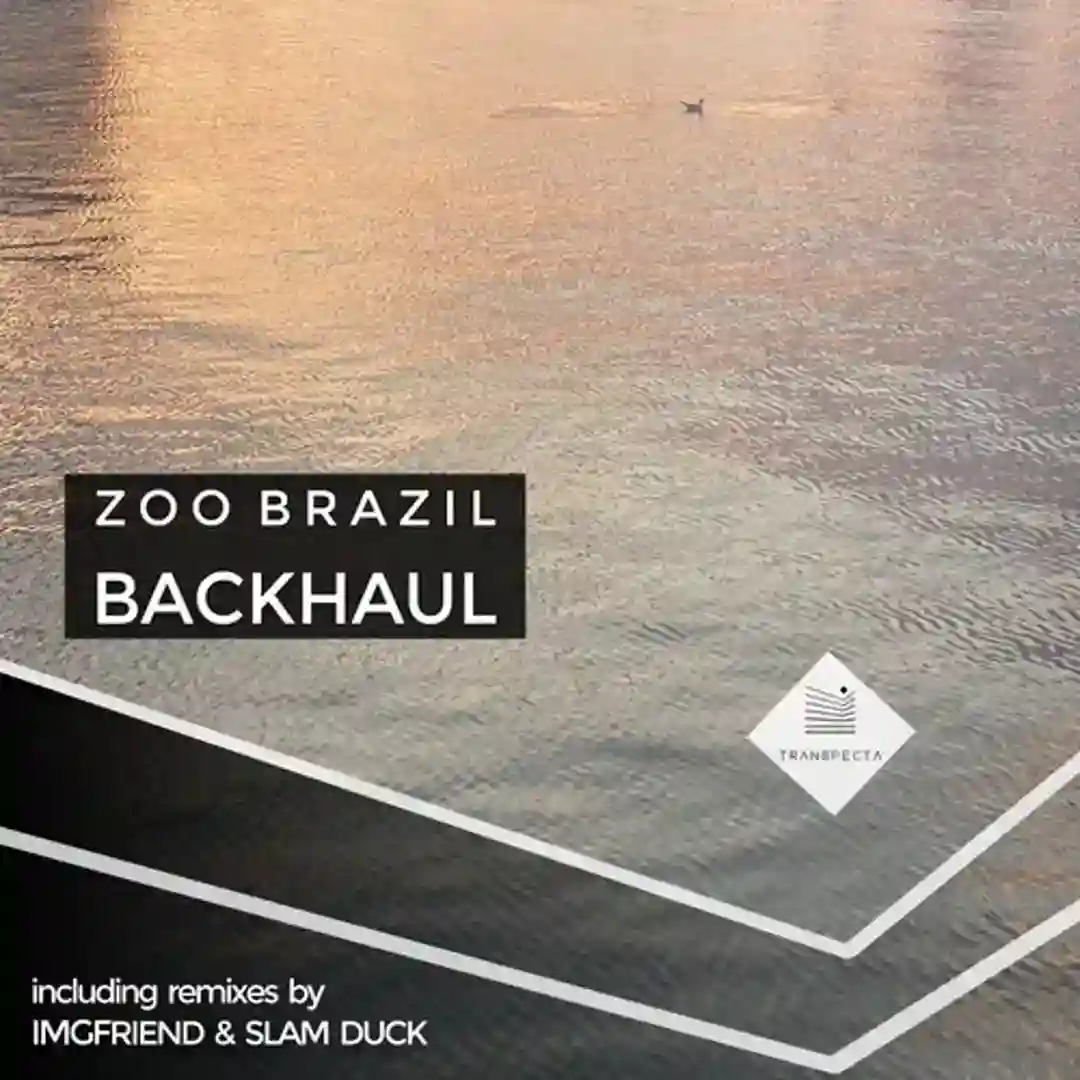Backhaul (IMGFriend Remix) cover