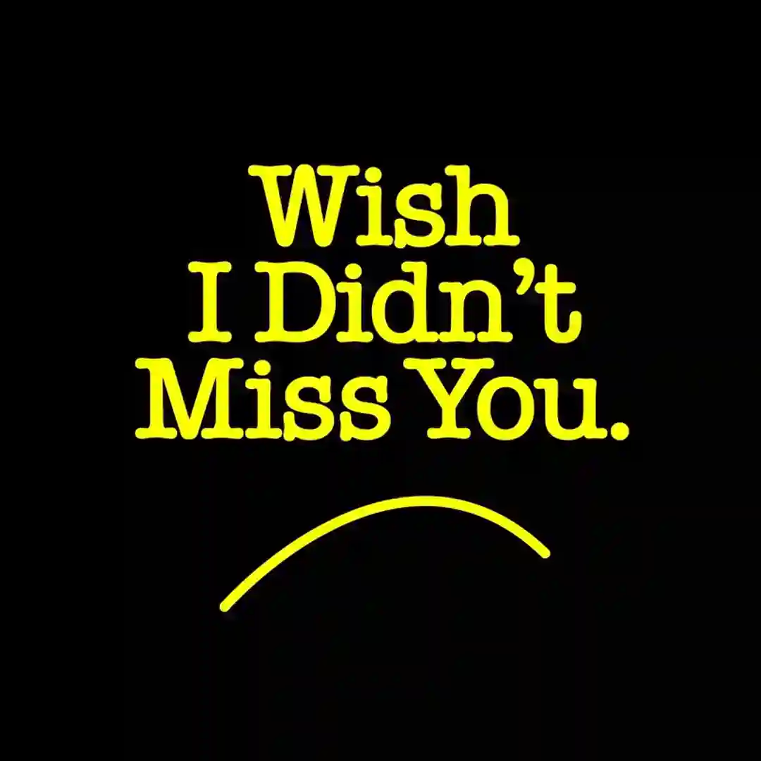 Wish I Didn't Miss You (Extended Mix) cover