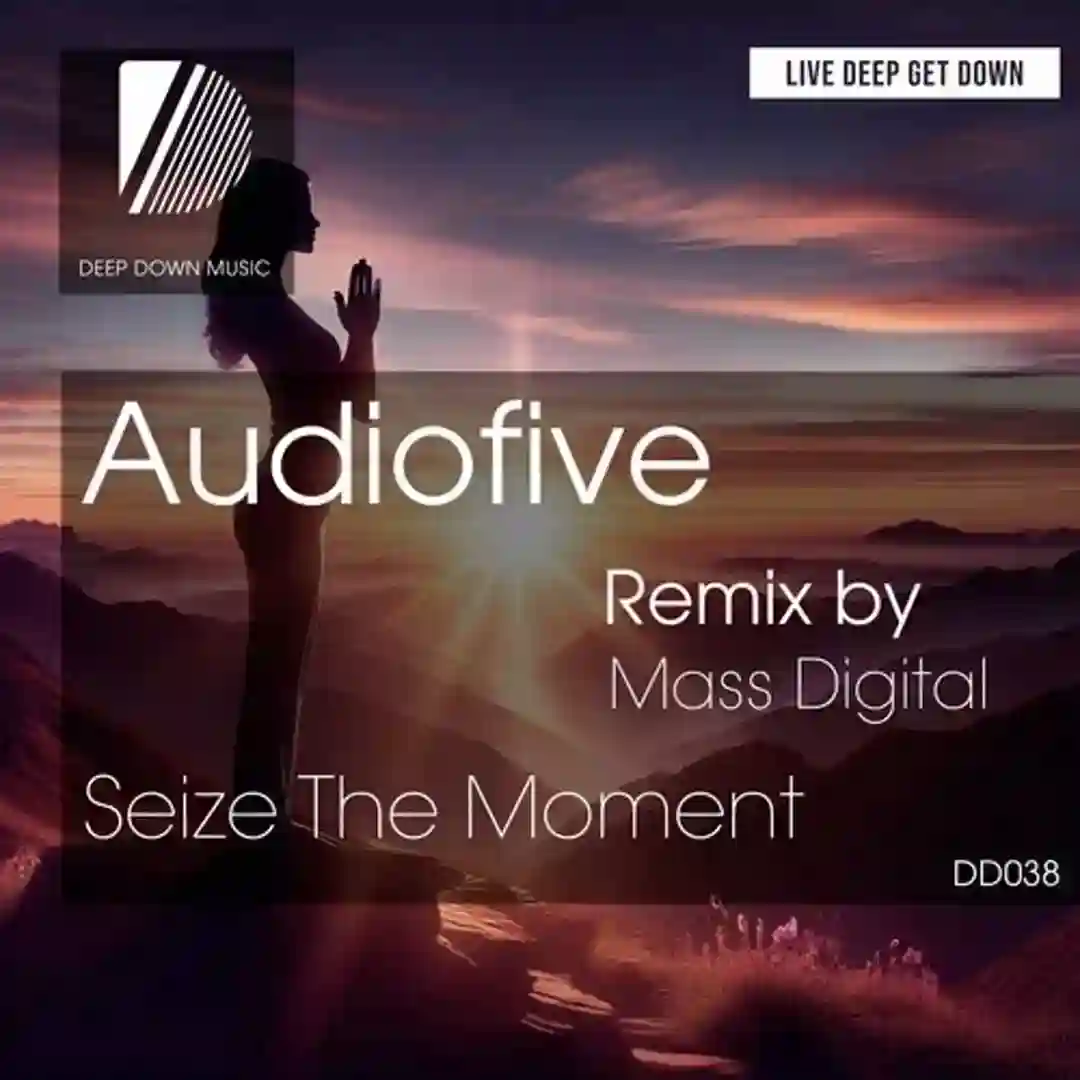 Seize the Moment (Mass Digital, Tonaya Vocal Remix) cover