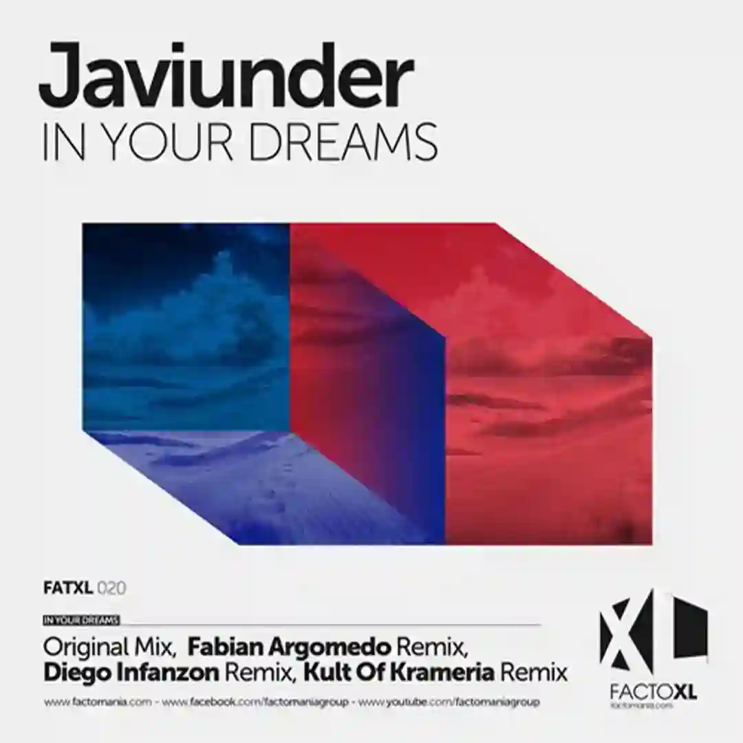 In Your Dreams cover