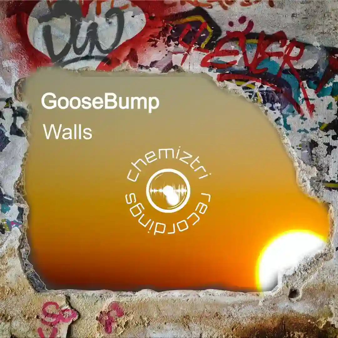Walls (Extended) cover