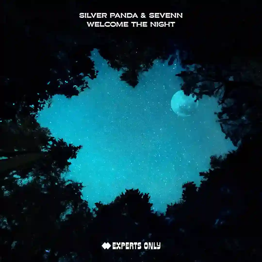 Welcome The Night (Extended Mix) cover