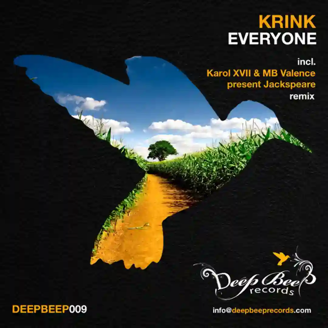 Everyone (Original mix) cover
