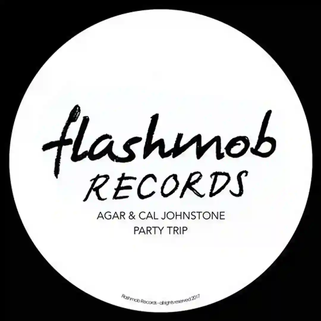 Party Trip (Original Mix) cover