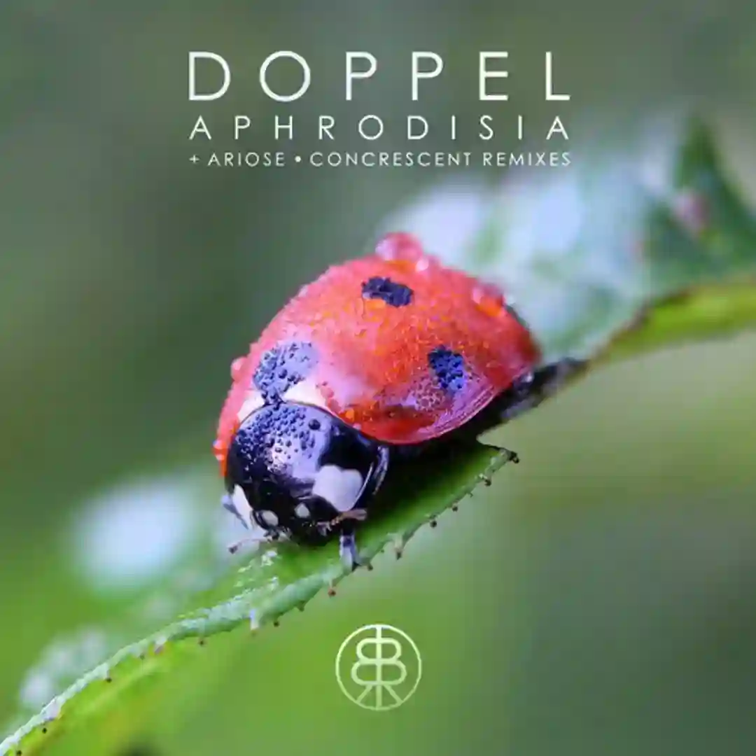 Aphrodisia cover