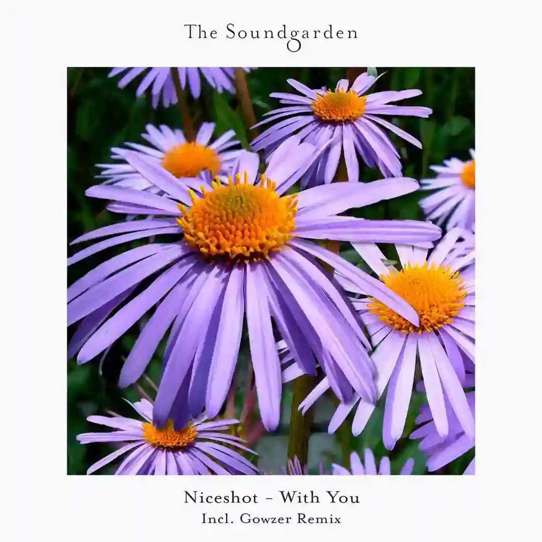 With You cover