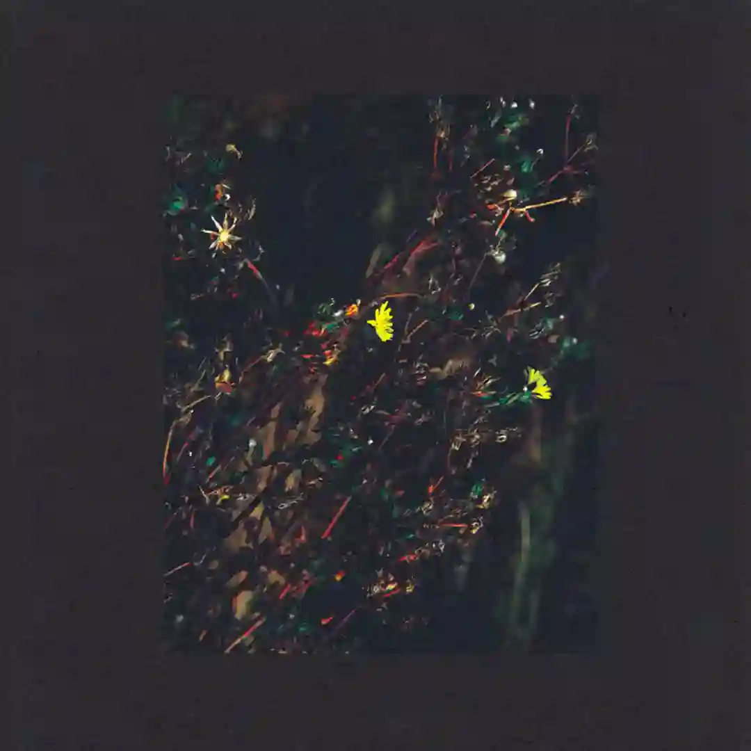 The Passenger (Original Mix) cover