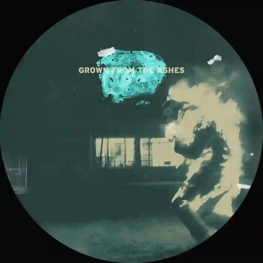 Grown From The Ashes cover