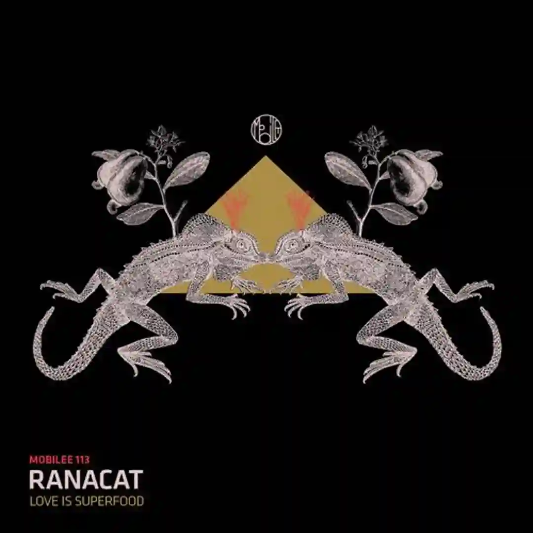 Love Is Superfood (Original Mix) cover