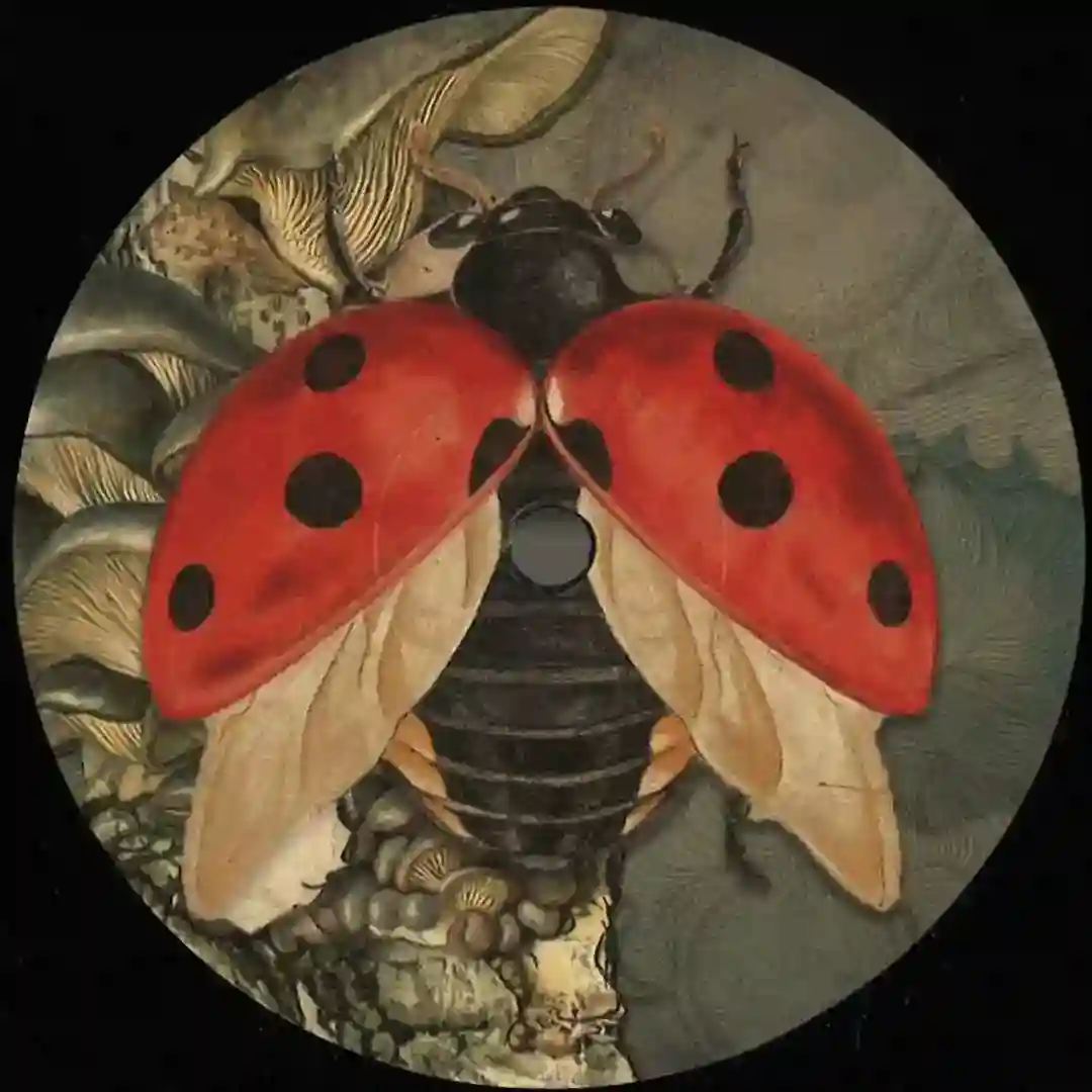 Enfasi Records 003 (Vinyl Only) ENFASI003 cover