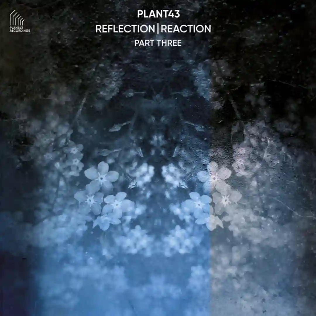 Reflection | Reaction - Part Three cover
